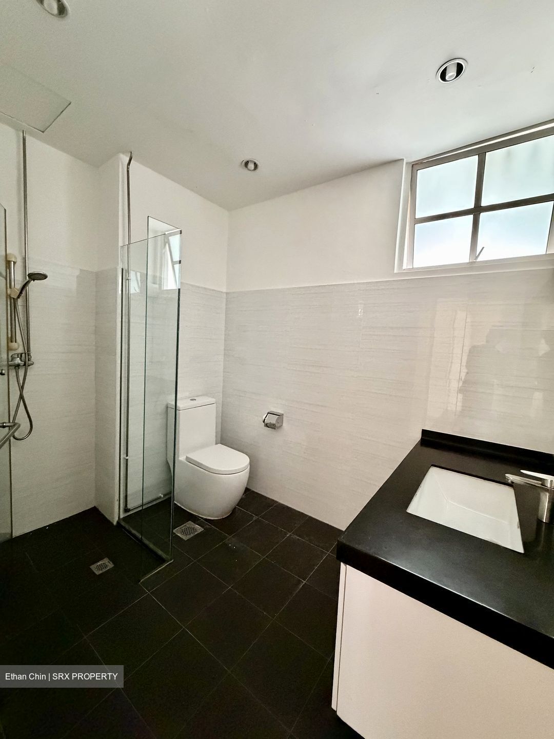 Swiss View (D11), Condominium #539929311
